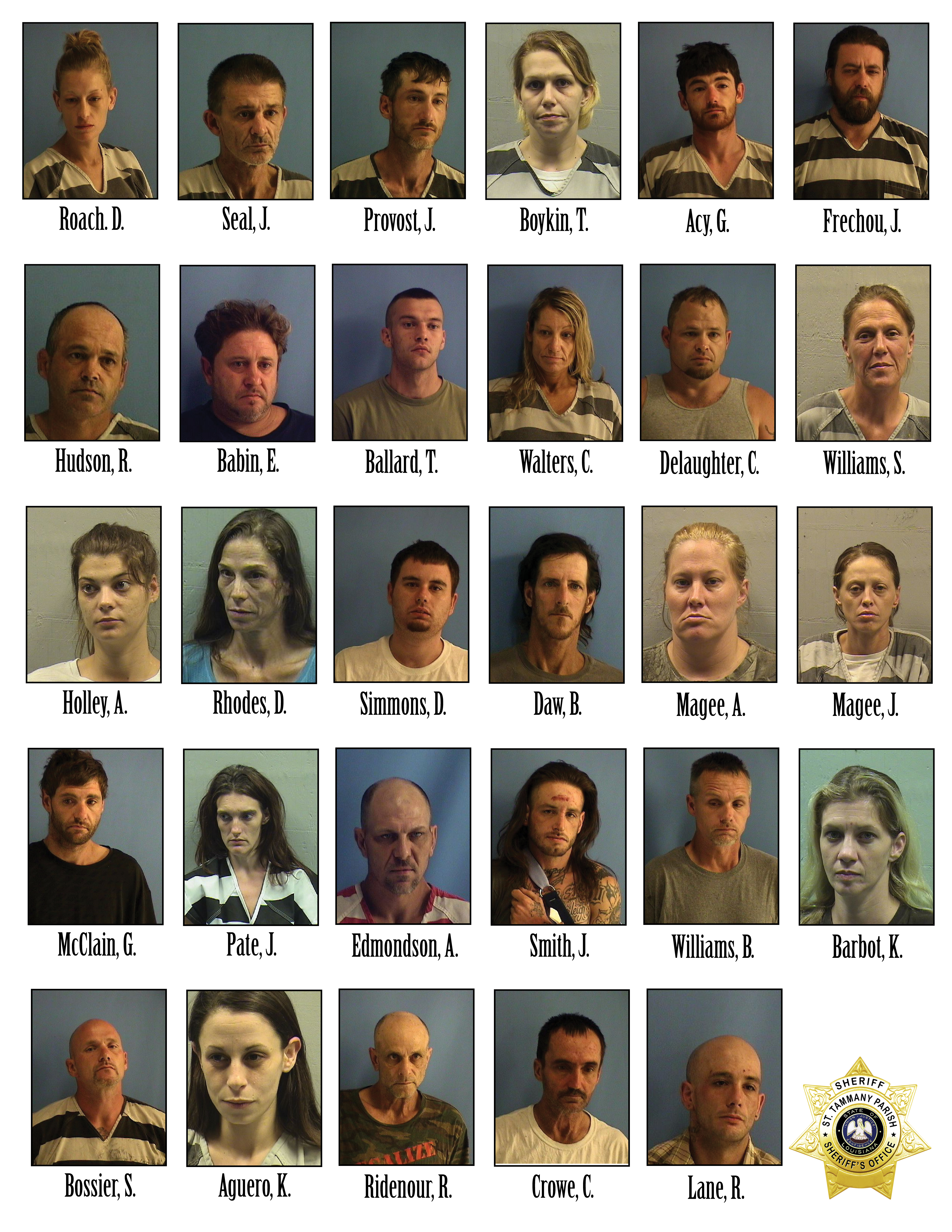 STPSO Narcotics Task Force Targets Meth Use Homepage St. Tammany